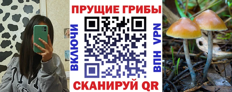 Псилоцибиновые грибы GOLDEN TEACHER  OMG   Красноармейск 